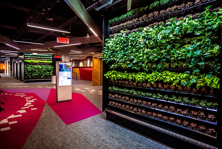 An atrium with walls with growing plants.