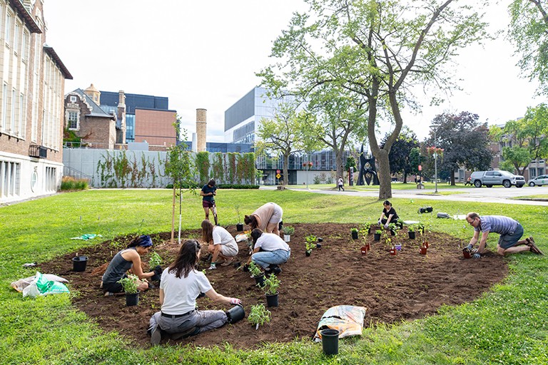 Image of a group of people working on a garden