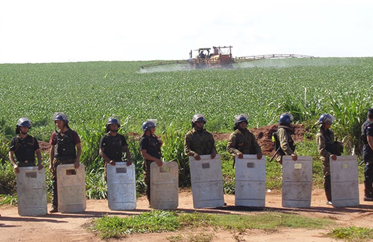 Police standing in riot gear in front of a crop field.