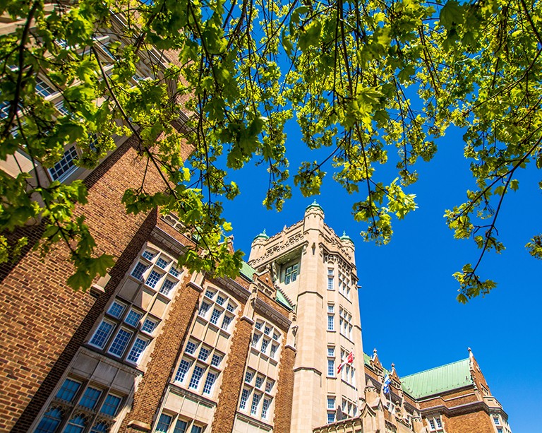 Lifelong friendships and fond memories at the Loyola College for Diversity and Sustainability