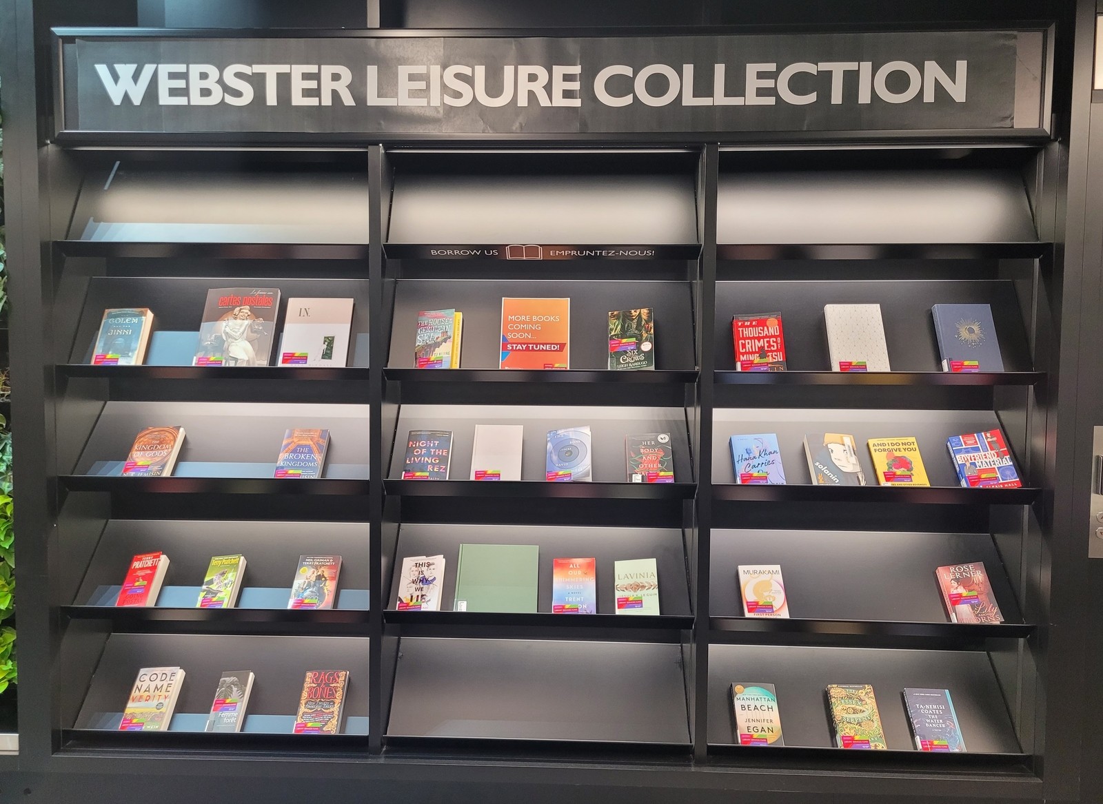 A black bookshelf with display books and a sign reading Webster Leisure Collection