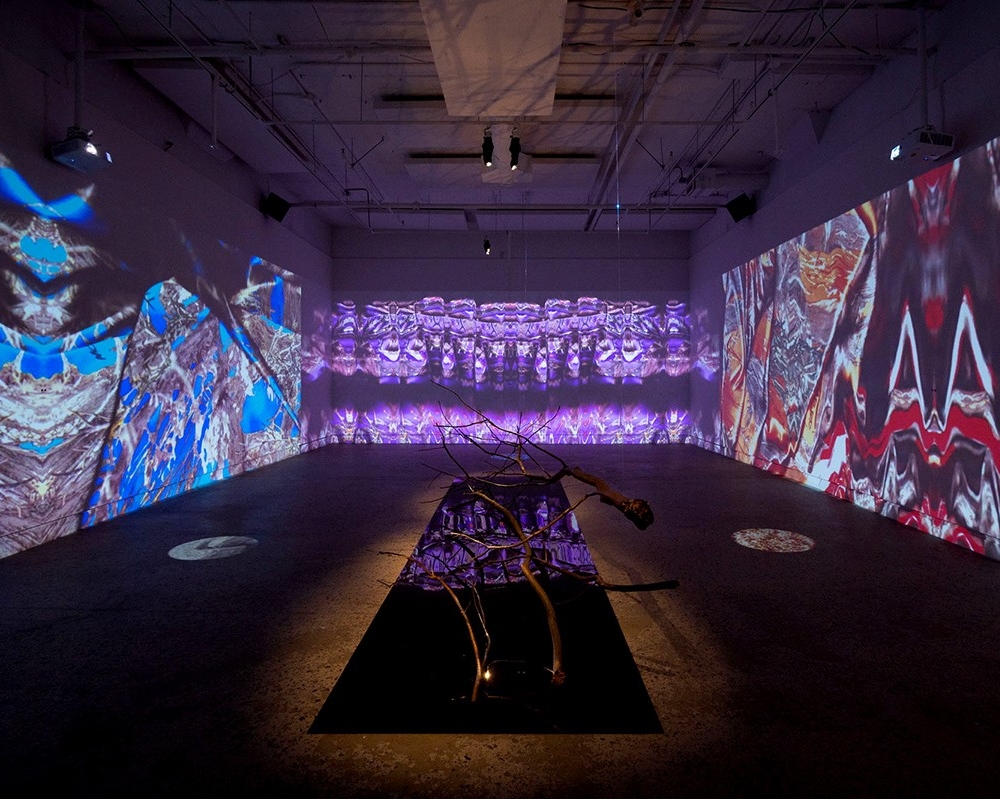 Laura Acosta and Santiago Tavera, Camouflaged Screams, 2021 Art installation