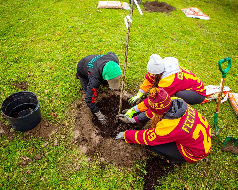 An ongoing project aims to document every tree on both of Concordia’s campuses