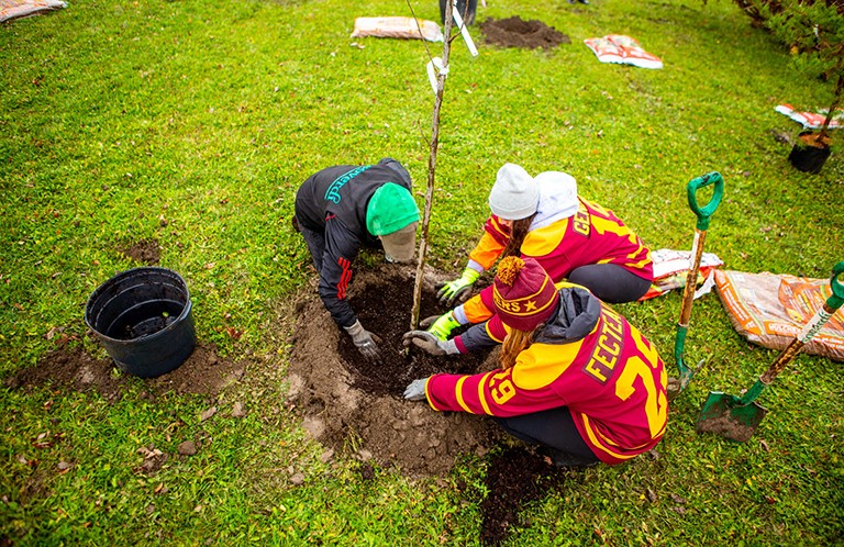 Photo taken above of people in hats and raincoats digging a hole to plant a tree.