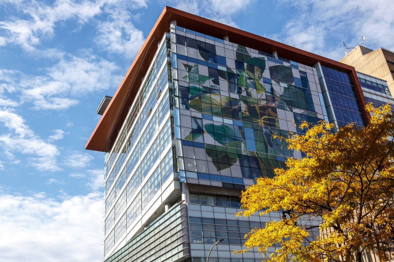 Engineering, Computer Science and Visual Arts Integrated Complex (EV) The Engineering, Computer Science and Visual Arts Integrated Complex (EV) on Concordia's Sir George Williams Campus