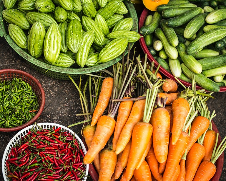 Concordia research collab leads food industry change with launch of new sustainability tool, Tracéco