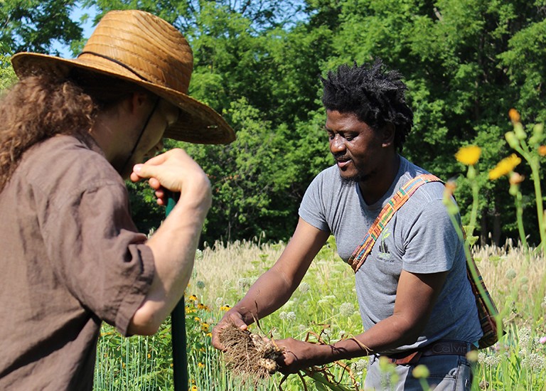 Two people in an open field with long grass, with one showing the other something about the plant they're holding