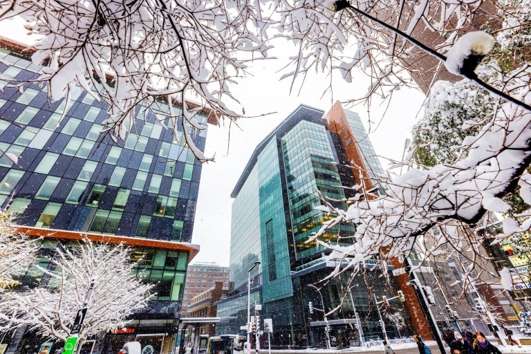 Snow-covered tree branches frame Concordia’s Guy-De Maisonneuve (GM) Building and the Engineering, Computer Science and Visual Arts Integrated Complex (EV) during an active winter snowfall.
