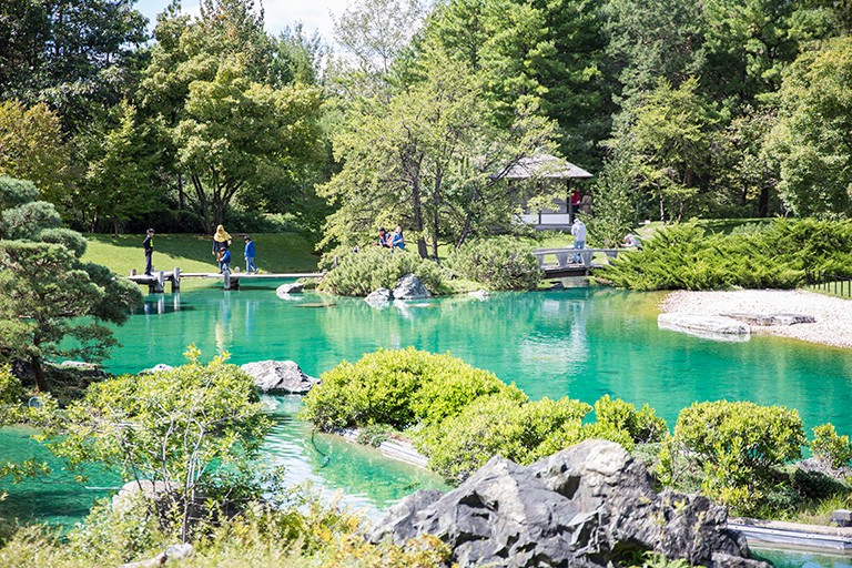 Botanical Gardens | Photo by Marie Deschene (Tourisme Montréal) Botanical Gardens | Photo by Marie Deschene (Tourisme Montréal)