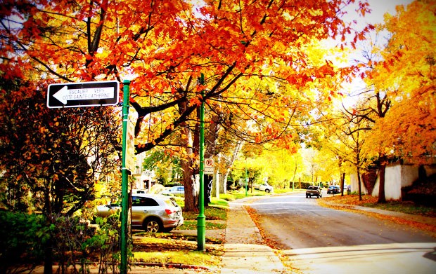 Outremont | Photo by Manu Dreuil (Flickr CC) Outremont | Photo by Manu Dreuil (Flickr CC)