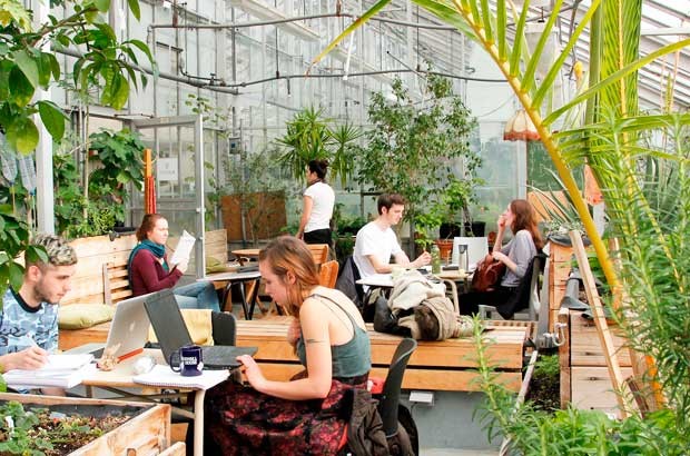 The Concordia greenhouse has several tables set up for studying. | Photo by Rebecca Paris 