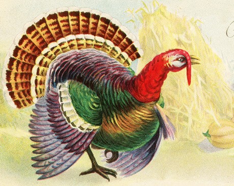 Let's talk turkey. Is Thanksgiving younger than we think?