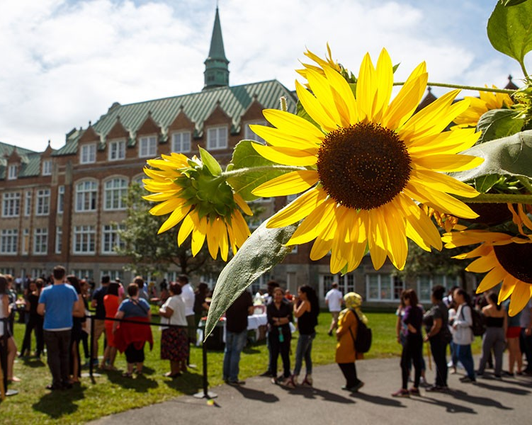 ‘Concordia is on a roll and people are noticing’