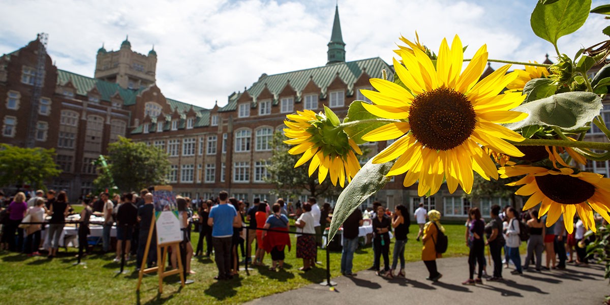 Loyola Campus, Fall Sunflowers