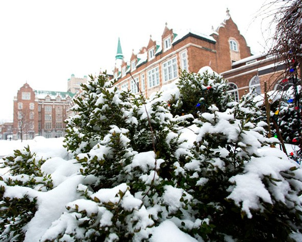 New trees on Loyola Campus commemorate Concordia professors