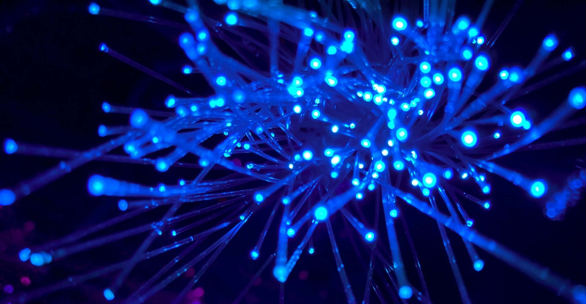 blue and purple fibre-optic image