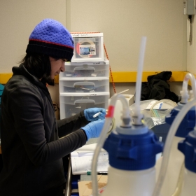 A woman wearing a purple and black toque and black long-sleeved shirt works in a lab collecting bacterial cells