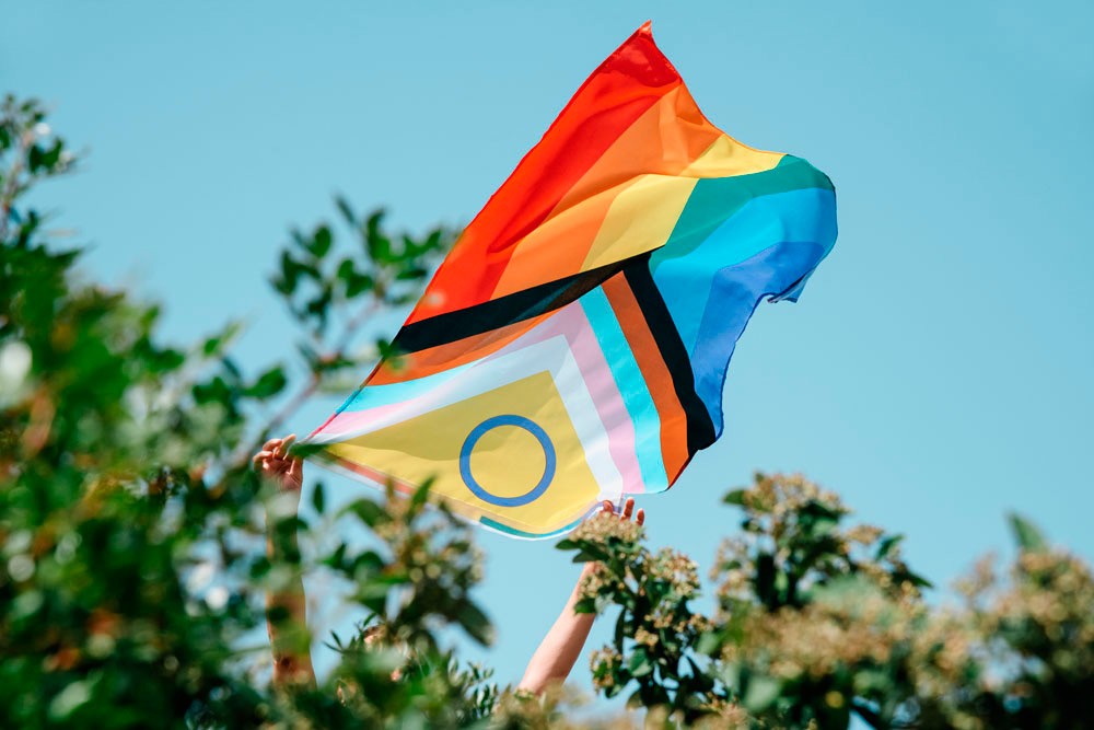 With green leaves on each side, two hands hold a new progress pride flag aloft against a blue sky.