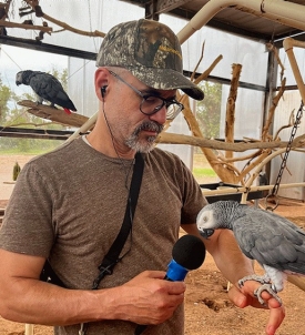 Jonathan holds up a microphone to a grey parrot that is perched on his hand.