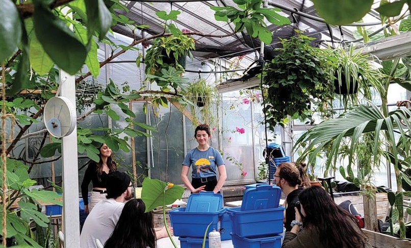 A group of students are gathered around blue recycling bins in the greenhouse.