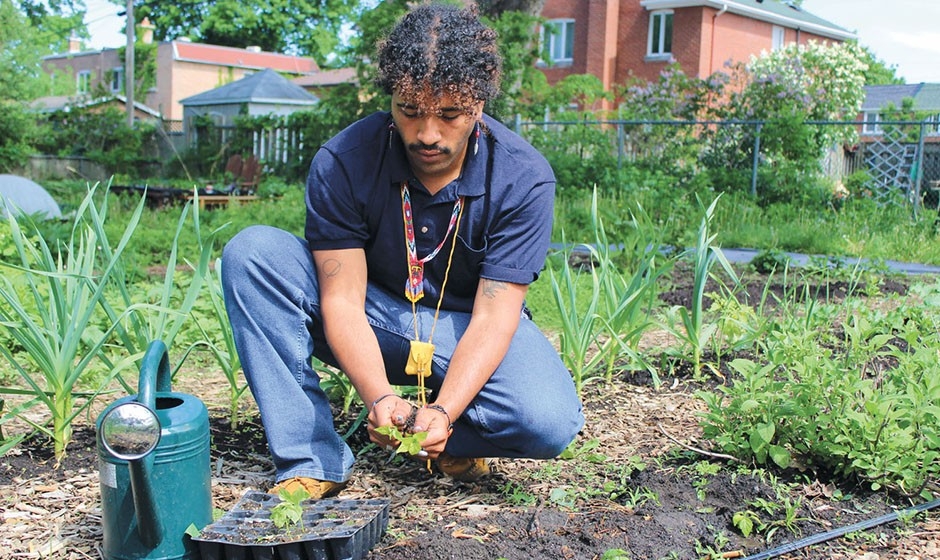 Menelik kneels in a garden next to a watering can while planting seedlings.
