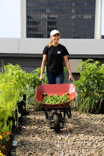 A woman pushes a wheelbarrow on a pebbled path, surrounded by lush greenery, on a rooftop with a high-rise building behind her. 