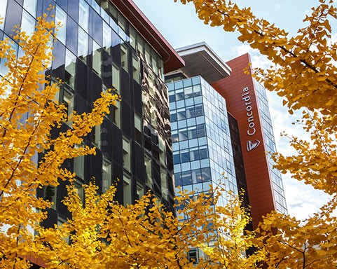 Fall brings new opportunities for growth at Concordia Continuing Education