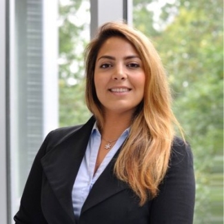 Parnaz Tabrizian, AI strategist