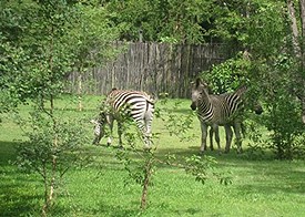 image_jpg_3.img