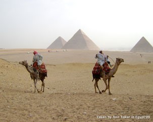 Alumni travel: Lifelong learning on the road