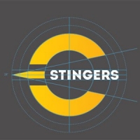 The new Stingers logo concept