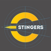 The new Stingers logo concept