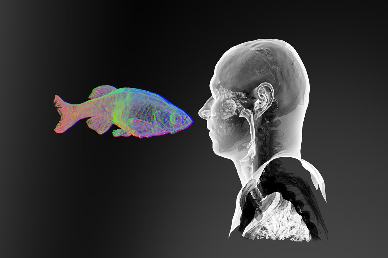“Face to Face” “Face to Face”