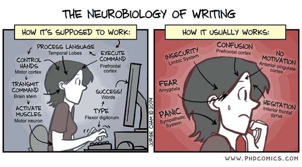 The neurobiology of writing - a cartoon by PhD comics