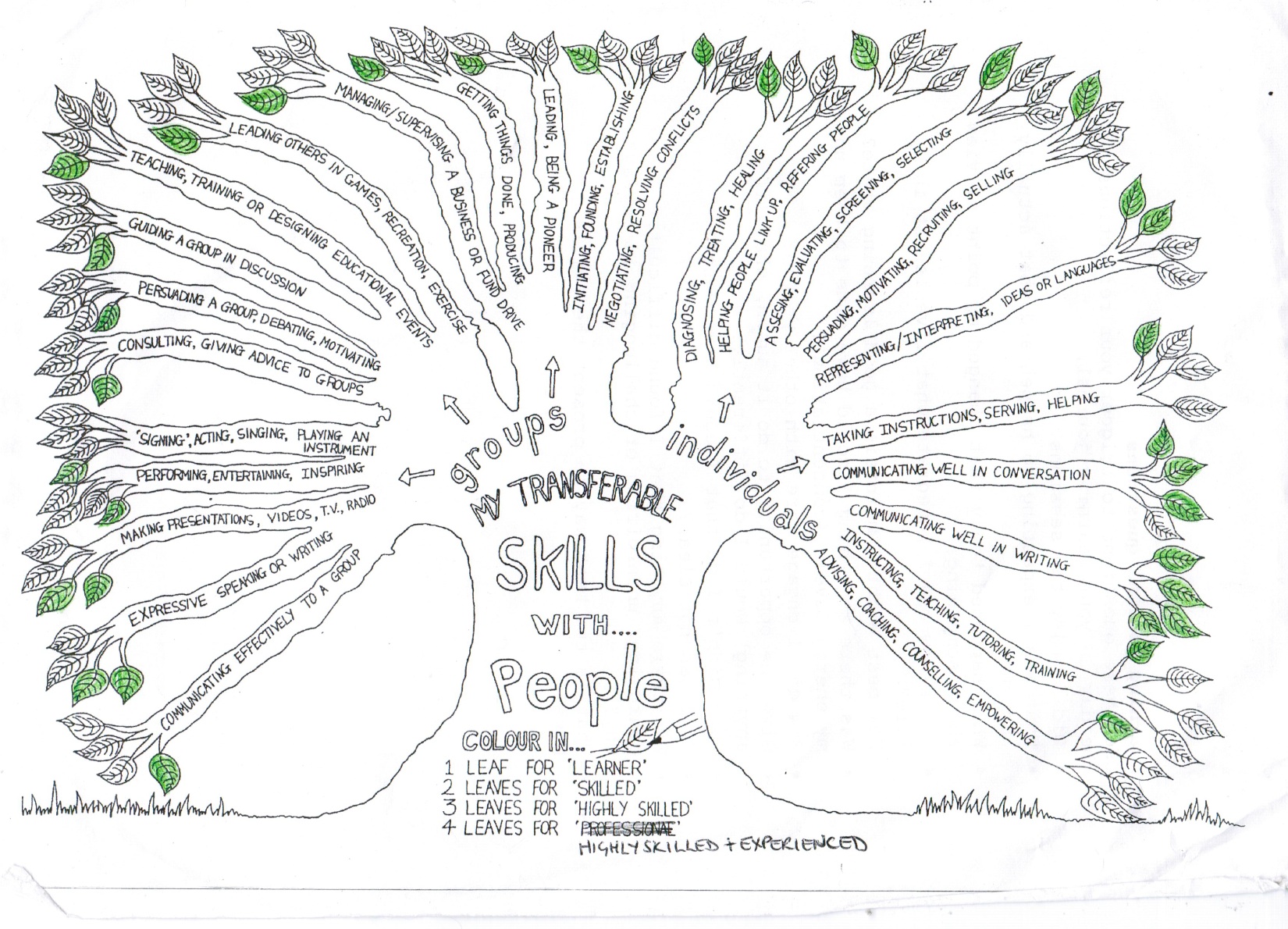 Defining (And Refining) Your Transferable Skills