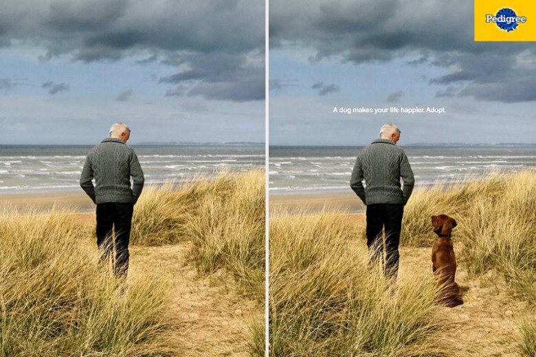 pedigree advertisement