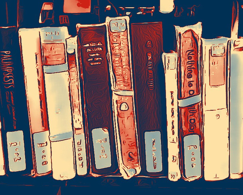 a shelf of books a shelf of books