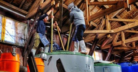 From the frontlines of fermentation: Overseas fieldwork in a natural saké brewery