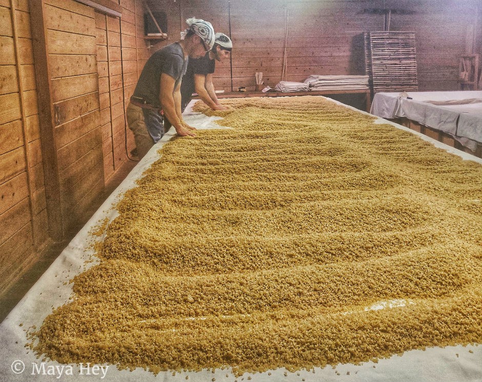 Heat, sweat and humidity inside the koji-muro for inoculating brown rice koji