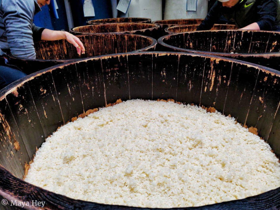 Brewers working by hand to ensure that steamed rice does not clump together