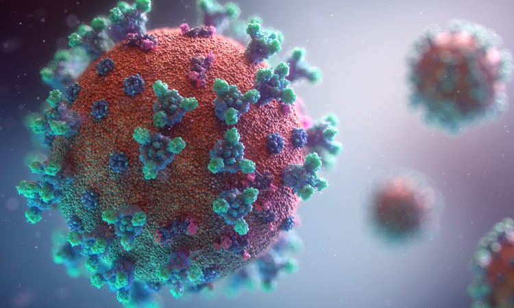 3D visualization of SARS-CoV-2 virus | Photo by Fusion Animation