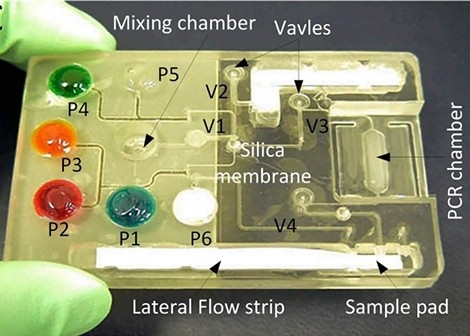 A MEMS-based PCR chip for detection of HIV virus | Chen et al., 2010