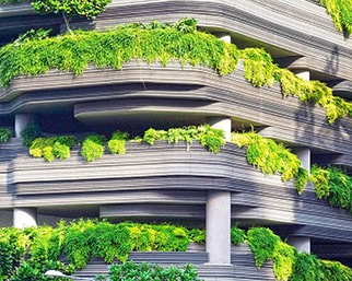 Article: How to create green projects | insights from Concordia's researchers