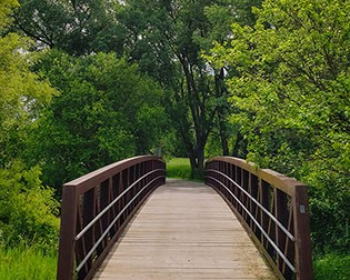 Article: The Bridges We Become: International Students and Knowledge Transfer