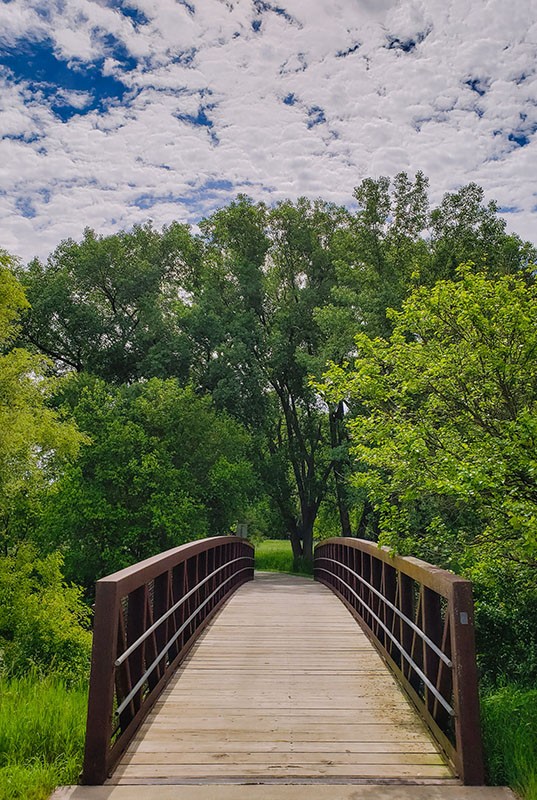 Image of a bridge leading to a green area filled with trees.
