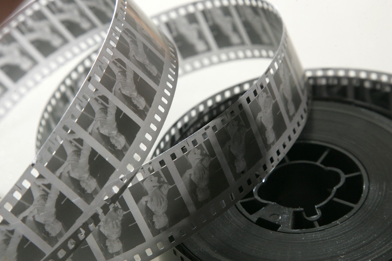 Film studies matter. Here's why.