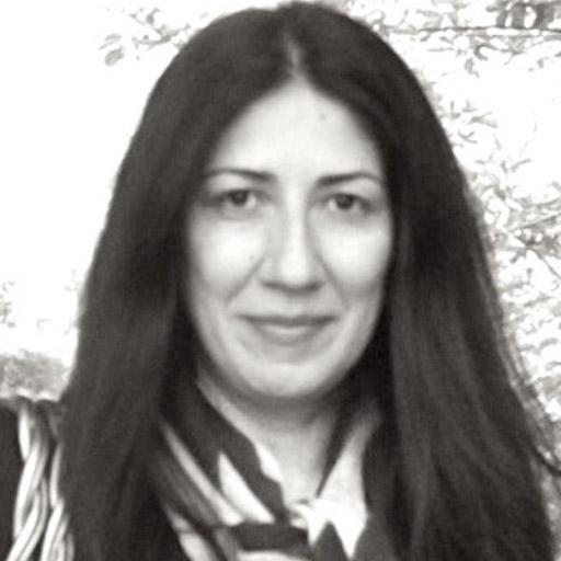 Najmeh Khalili-Mahani