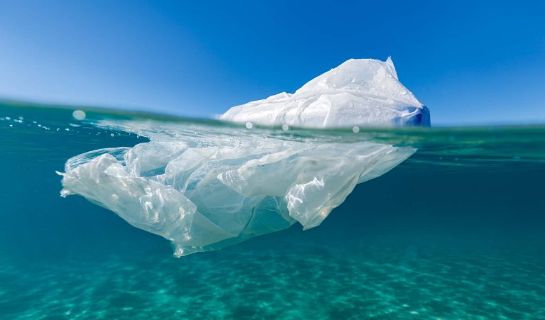 Marouane Elouaraa : « Il est essentiel que les ingénieurs gardent la durabilité et l’environnement en tête. »