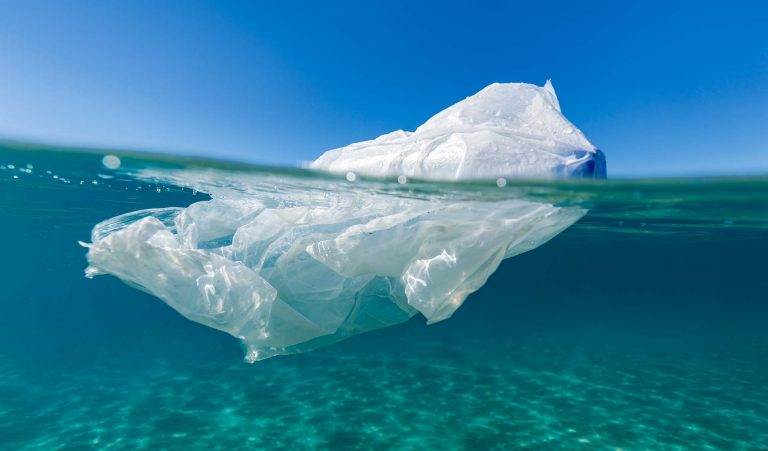 Marouane Elouaraa : « Il est essentiel que les ingénieurs gardent la durabilité et l’environnement en tête. »