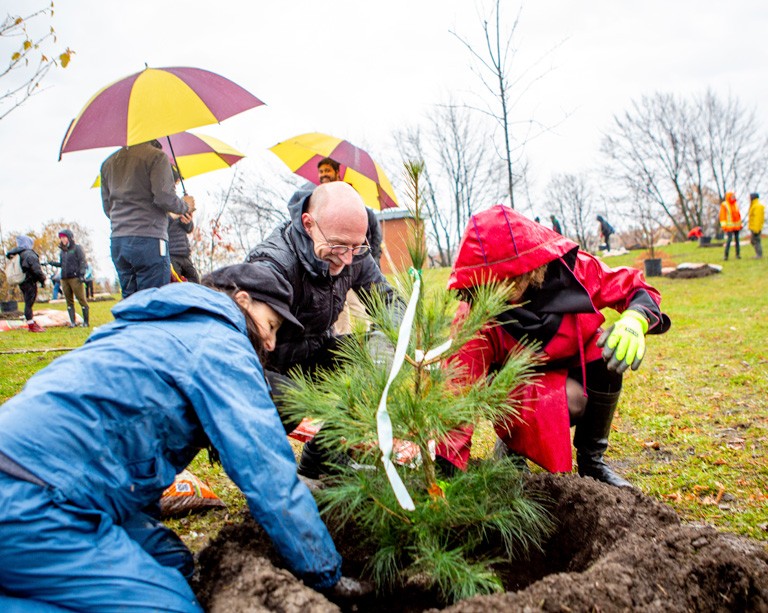 Concordia célèbre 185 nouveaux arbres sur le campus Loyola